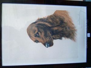  Setter Gordon  by Leon Danchin