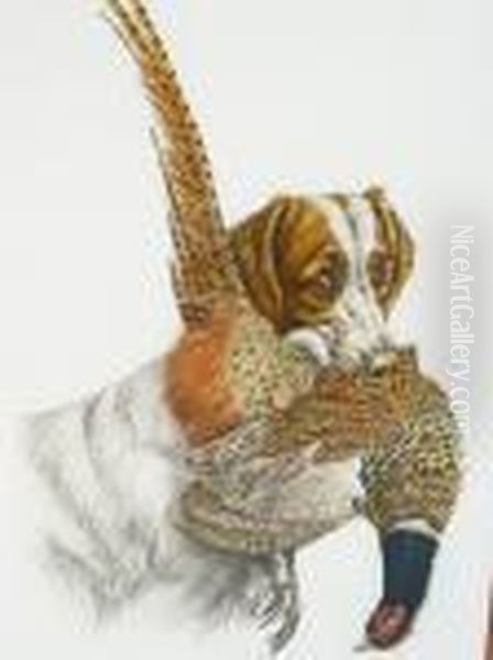 Spaniel Andpheasant - view 1