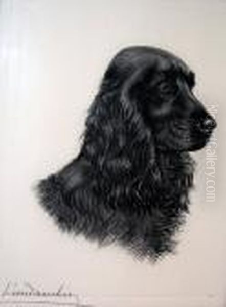 Head Of A Black Cocker Spaniel - view 1