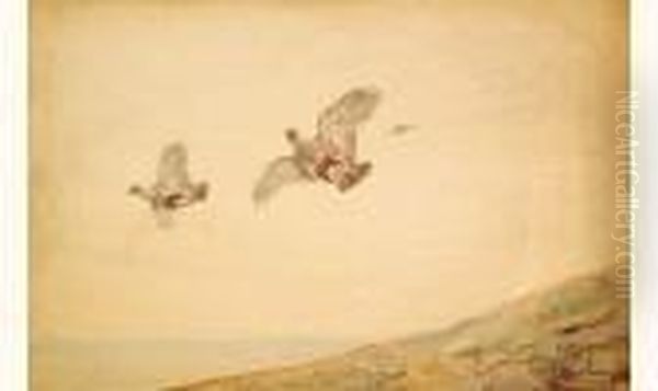 Vol De Canards. - view 1