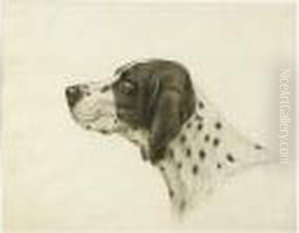 Tete De Braque. - view 1