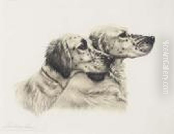English Setters - view 1