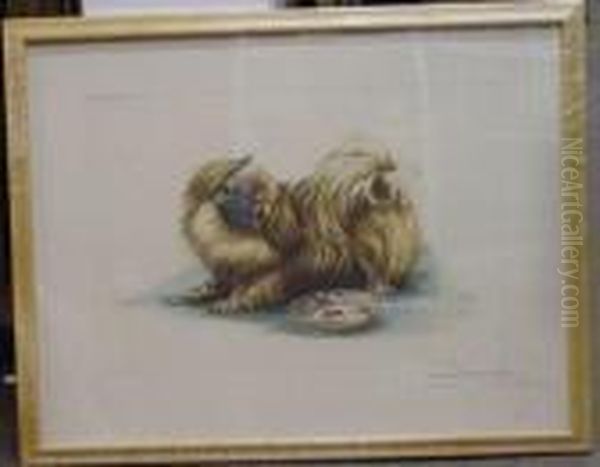 Keeping A Watchful Eye - A Pekingese - view 1