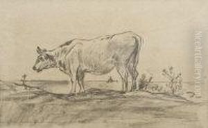 Cow Standing In A Landscape
