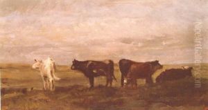 Vaches Au Paturage