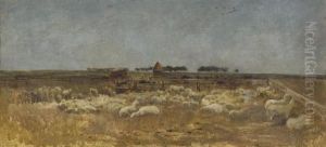 Le Parc A Moutons Le Parc A Moutons