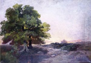Soleil Couchant A L'oree De La Foret