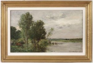 Vaches Au Bord De La Riviere En Crue