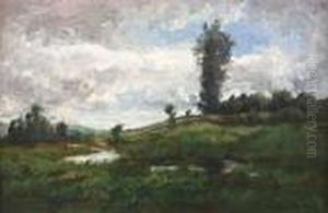 Ciel Couvert En Campagne
