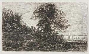 Landscape Landscape