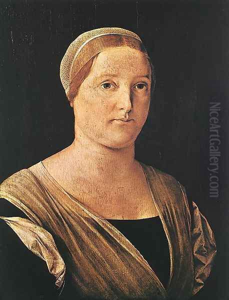 Portrait of a Woman c. 1506 - view 1