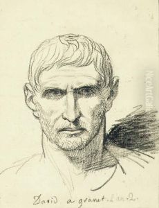 The Head Of A Bearded Man After A Roman Bust by Jacques Louis David