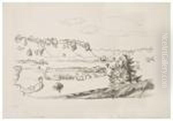 Landscape - view 1