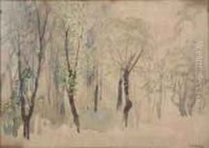 'trees'; White Clouds And Trees 'trees'; White Clouds And Trees