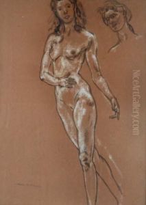Nude Figure Study