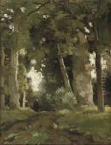 A Figure On A Wooded Path In A Forest