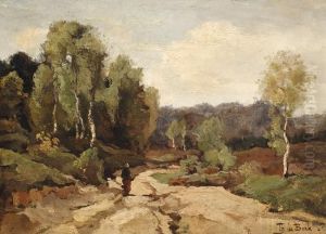 Sandy Path At The Edge Of The Moor