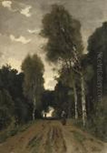 Walking Along A Woodland Path - view 1