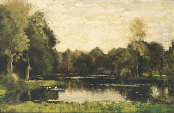 A Pond In A Wooded Landscape - view 1