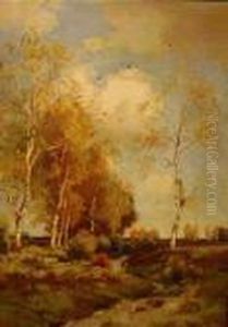 Birches Along A Meandering Brook