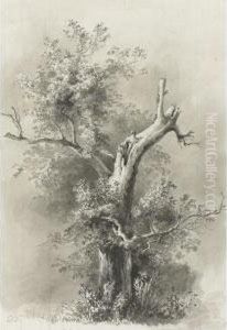 Tree Study And Man Leaning On A Stick by Jean-Jacques De Boissieu