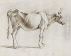 Nach Rechts Stehende Kuh by Jean-Jacques De Boissieu