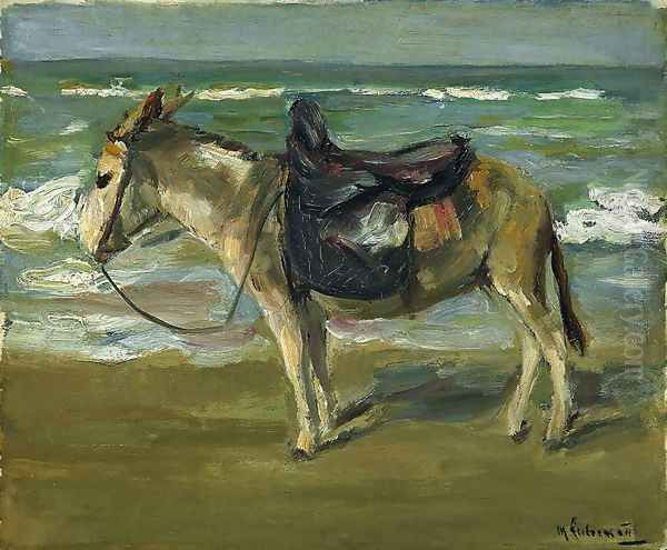 Reitesel am Strand - view 1