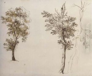 Etude De Trois Arbres