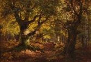Woodland Scene Woodland Scene