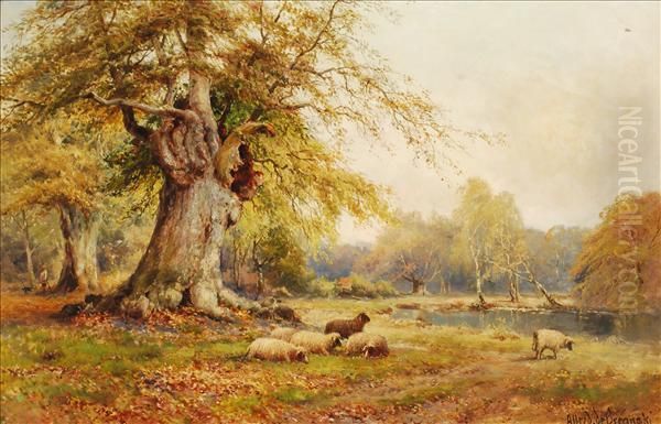 Burnham Beeches In September - view 1