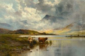 Highland Cattle