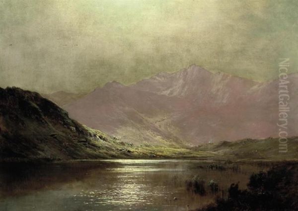 Moonlight, Llyn Swernon, Dolgelly - view 1