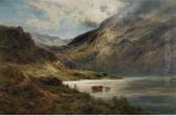 Sunlight In The Highlands - view 1