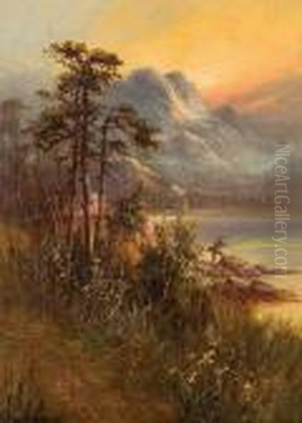 Lake In Scotch Mountains - view 1