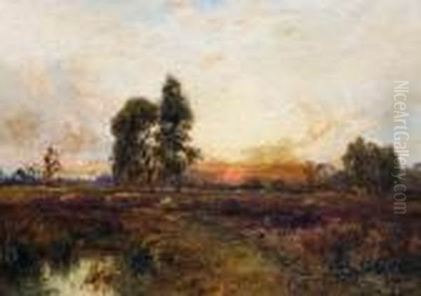 Sunset - view 1