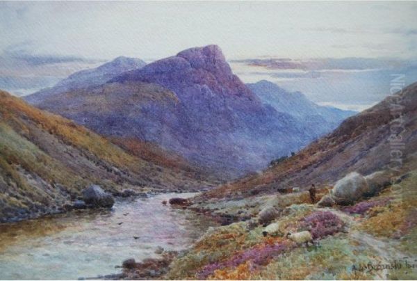 Titled 'sheeps Tor - view 1