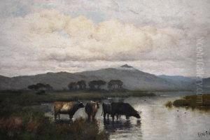 On The Conway, N. Wales