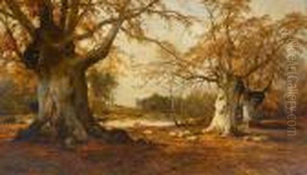 Burnham Beeches - view 1