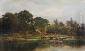 Cattle Watering
