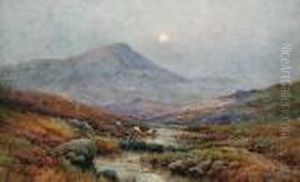 Moonrise, Taw Marsh, Dartmoor