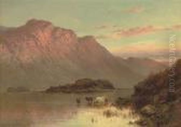 The Islands Near Inversnaid - view 1