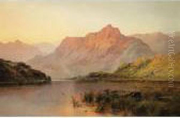 Cader Idris From Llyn-y-gader - view 1
