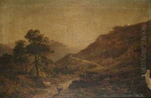 Early Dawn