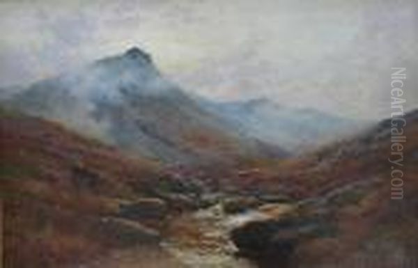 Tavy Cleave, Dartmoor - view 1