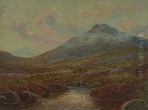 On The River Lid Dartmoor