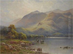 Cattle In A Loch Cattle In A Loch