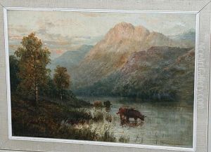 Highland Cattle Watering In A Loch