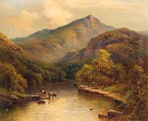 In Guynant Vale, North Wales