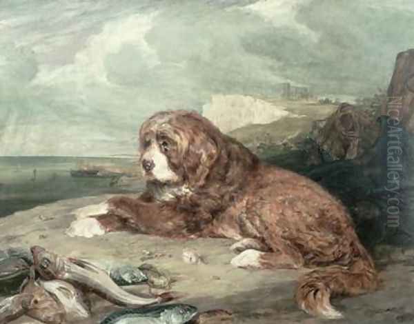 An Old Newfoundland Dog - view 1