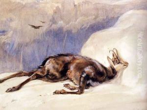 The Chamois, Sketched In The Tyrol